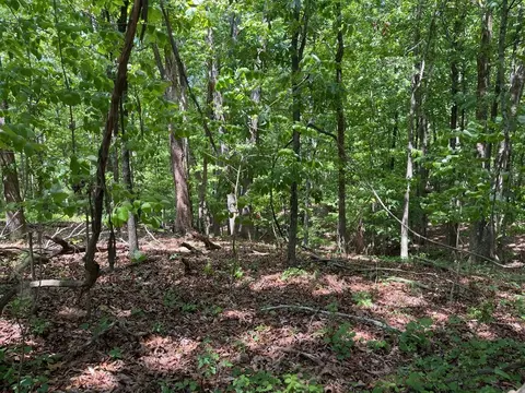 Tract1a Chalcrest Way, Cave Spring, GA 30124 photo 12
