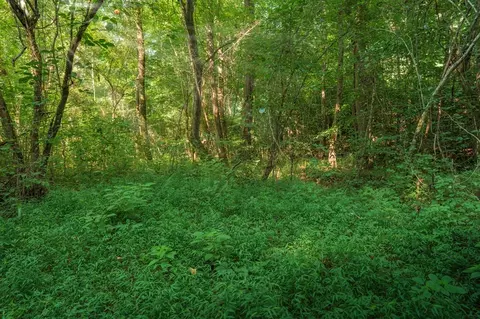 00 Bill Smith Dr, Canton, GA 30114 photo 20