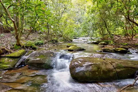 0 Wolf Pen Trl, Ellijay, GA 30540