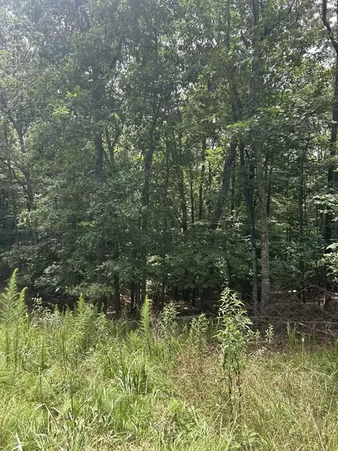 1 5 Liberty Hill Rd, Morganton, GA 30560