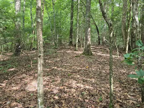 3 59 Ac Swallows Creek Rd, Hiawassee, GA 30546