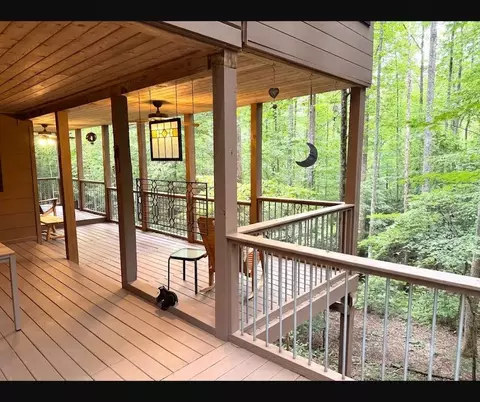 Exterior - 266 Chimney Rock Rd, Cherry Log, GA 30522 photo 9 of 17
