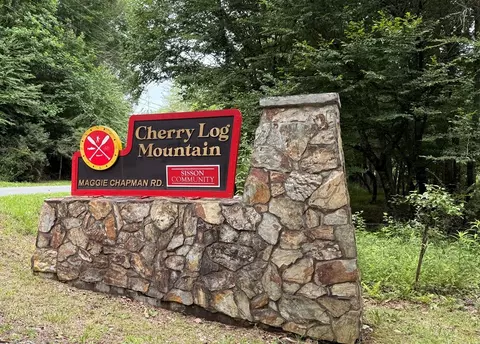 View/Area - 266 Chimney Rock Rd, Cherry Log, GA 30522 photo 5 of 5