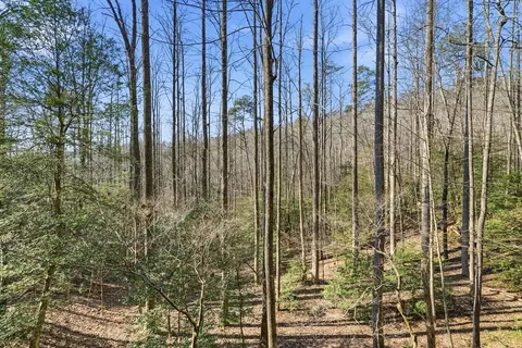Exterior - 266 Chimney Rock Rd, Cherry Log, GA 30522 photo 15 of 17