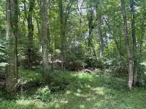 5 Trillium Ln, Brasstown, NC 28902