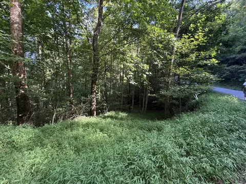 lot4 Mill Ridge Rd, Hiawassee, GA 30546