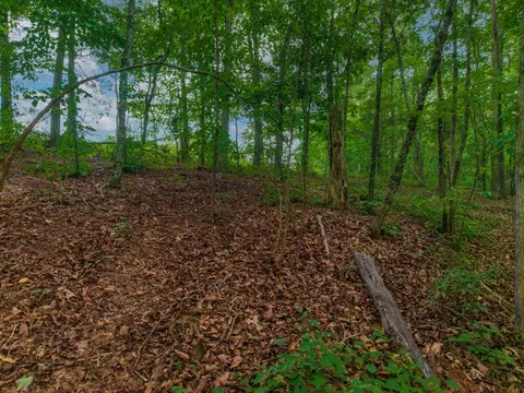 0 Hobgood Rd, Rydal, GA 30171 photo 2