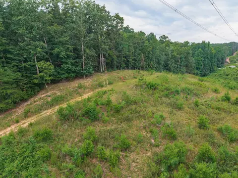 0 Hobgood Rd, Rydal, GA 30171 photo 10