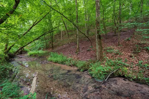 0 Hobgood Rd, Rydal, GA 30171 photo 6