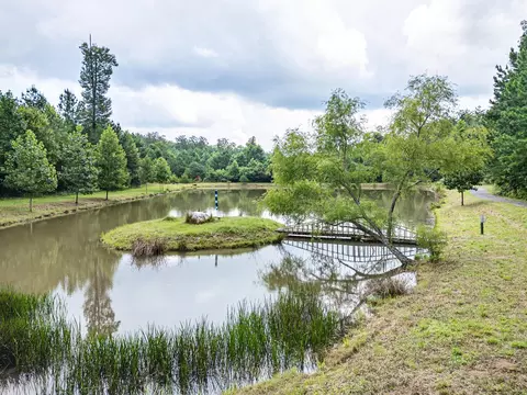 View/Area - 22 Hudson Springs Ln, Murphy, NC 28906 photo 5 of 6