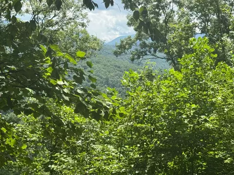 APT 2 & #7 Ivy Lane, Hiawassee, GA 30546
