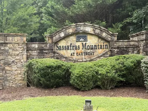 9 Foxpaw Leaf Ct, East Ellijay, GA 30536