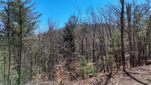 lot10 Firefly Ridge Rd, Blairsville, GA 30512