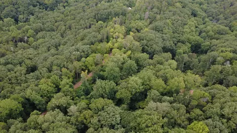 00 Firetower Rd, Jasper, GA 30143 photo 13