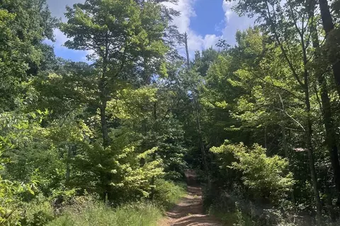 00 Firetower Rd, Jasper, GA 30143 photo 4