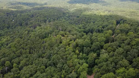 00 Firetower Rd, Jasper, GA 30143 photo 3