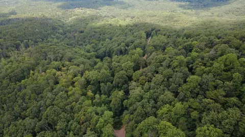 00 Firetower Rd, Jasper, GA 30143 photo 10