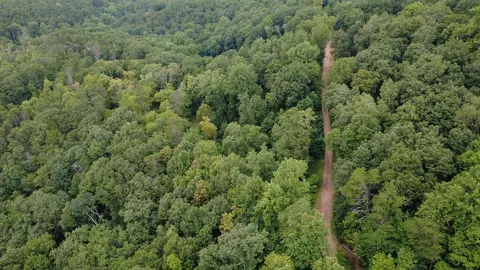 00 Firetower Rd, Jasper, GA 30143 photo 9