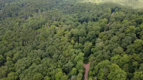 00 Firetower Rd, Jasper, GA 30143 photo 11