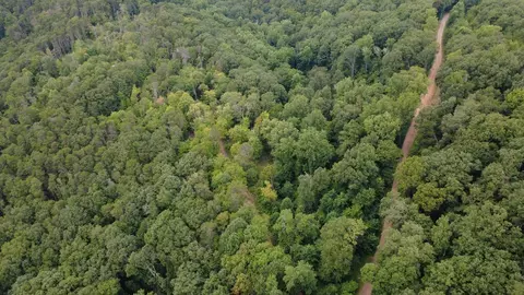 00 Firetower Rd, Jasper, GA 30143 photo 12
