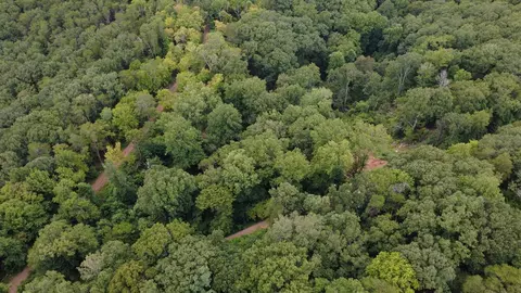 00 Firetower Rd, Jasper, GA 30143 photo 14