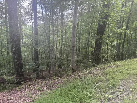 0 Wilderness Creek Way, Murphy, MD 20906 photo 3
