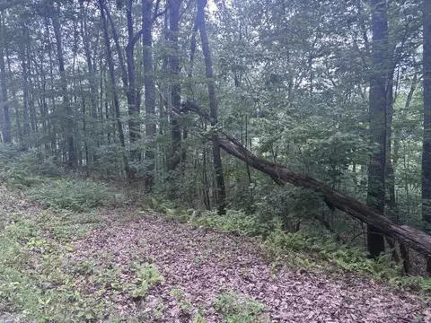 0 Wilderness Creek Way, Murphy, MD 20906 photo 4