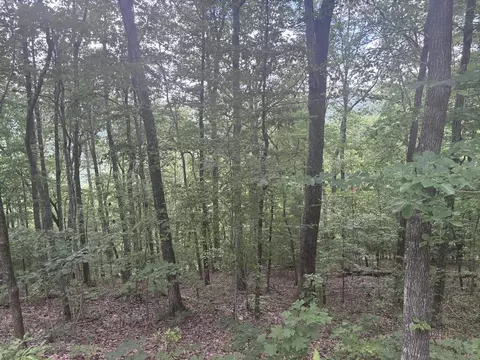 0 Wilderness Creek Way, Murphy, MD 20906 photo 5