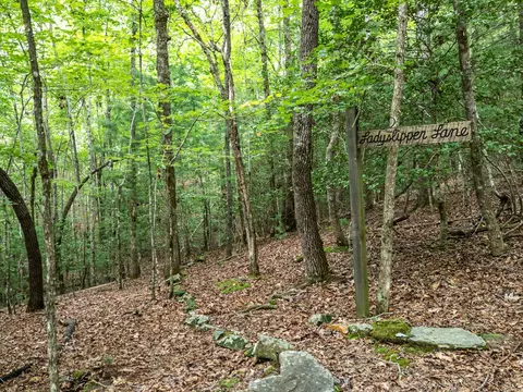 Exterior - Undisclosed, Murphy, NC 28906 photo 10 of 10