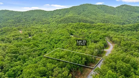 lot25 Crestview Pt, Mineral Bluff, GA 30559