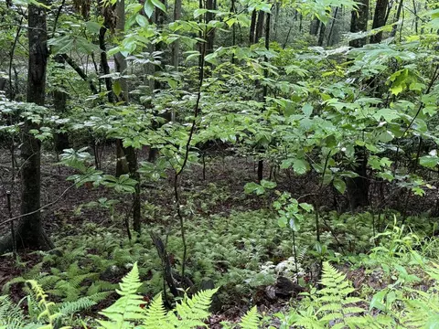 lot28 Atoah Loop, Murphy, NC 28906 photo 8