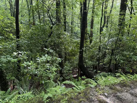 lot28 Atoah Loop, Murphy, NC 28906 photo 7