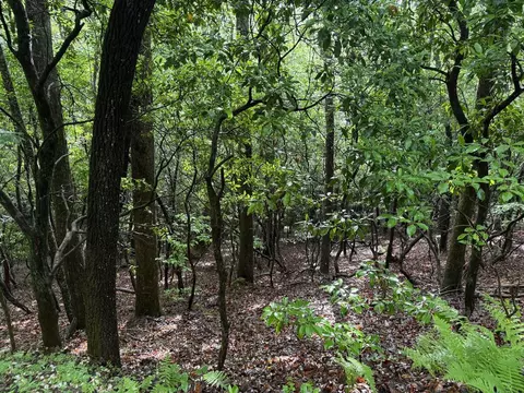 lot28 Atoah Loop, Murphy, NC 28906 photo 6