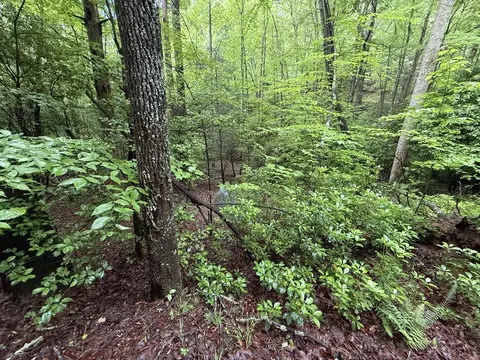 lot28 Atoah Loop, Murphy, NC 28906 photo 9
