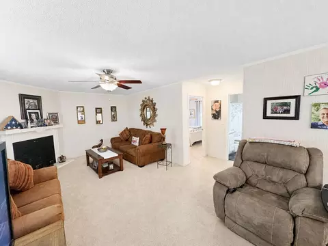 Living - 350 Bobcat Ln, Warne, NC 28909 photo 4 of 5