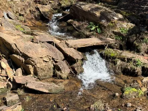 lot5 Wild Laurel, Brasstown, NC 28902