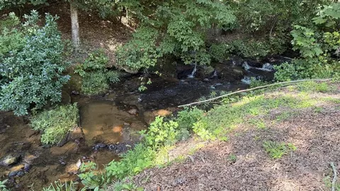 0 Fodder Creek Rd, Hiawassee, GA 30546