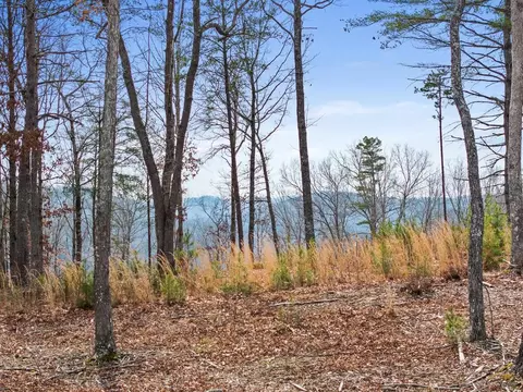 lot162 Ridge Dr, Morganton, GA 30560