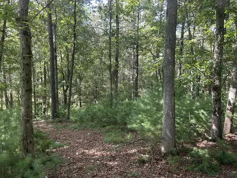 62 Harmony Way, Morganton, GA 30560