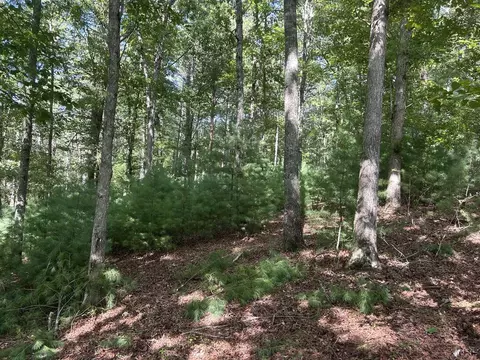 62 Harmony Way, Morganton, GA 30560 photo 2