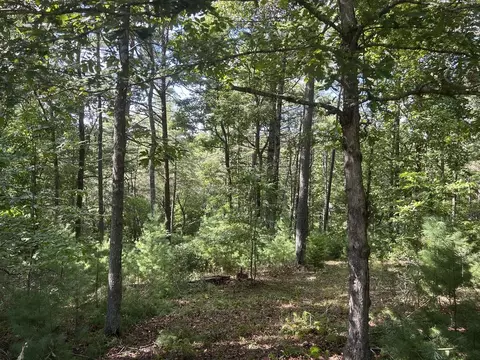 63 Harmony Way, Morganton, GA 30560