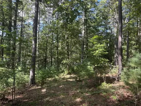 63 Harmony Way, Morganton, GA 30560 photo 2