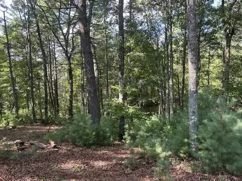 64 Harmony Way, Morganton, GA 30560