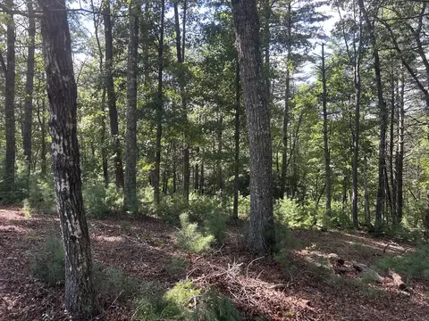 64 Harmony Way, Morganton, GA 30560 photo 2