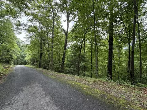 4 63 Twiggs Rd, Hiawassee, GA 30546
