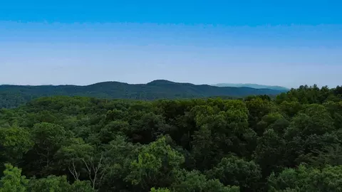 lot6 Allaire Ln, Mineral Bluff, GA 30559