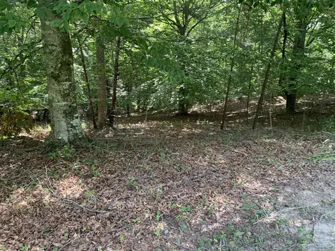 456 Mountain Wood Dr, Murphy, NC 28906 photo 3
