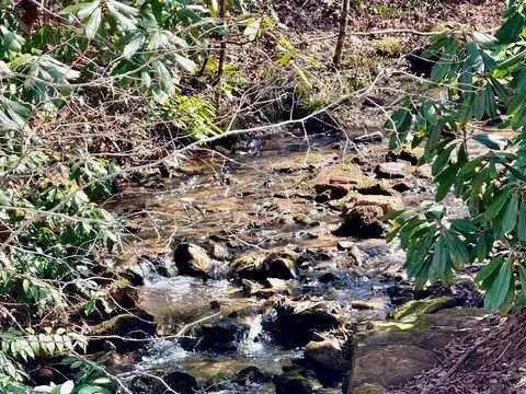 lot8 Wild Laurel, Brasstown, NC 28902