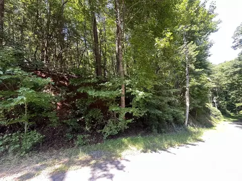 P 10 Gold Mine Drive, Ellijay, GA 30536