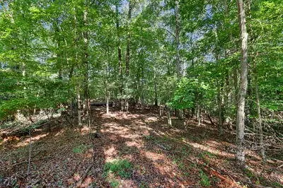 Exterior - 167 Anglers Loop, Blue Ridge, GA 30513 photo 14 of 19